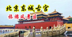 SPA骚妇中国北京-东城古宫旅游风景区